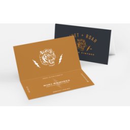 VistaPrint Biglietti da visita pieghevoli