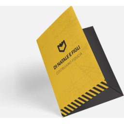 VistaPrint Cartelline con tasca singola