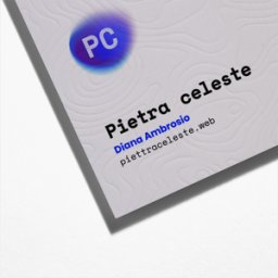 VistaPrint Biglietti da visita con stampa a bassorilievo