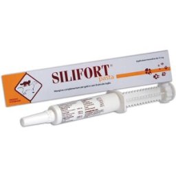 DDFARMA Srl SILIFORT PASTA OS SIRINGA 30G