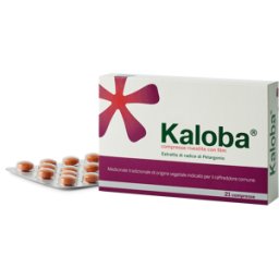 DR.WILLMAR SCHWABE GmbH&CO.KG Kaloba*21cpr Riv