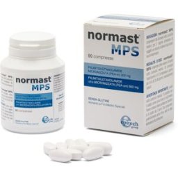 EPITECH GROUP SpA NORMAST MPS 90CPR