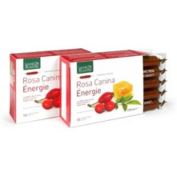 NATURA SERVICE ROSA CANINA ENERGIE BIO 10AB
