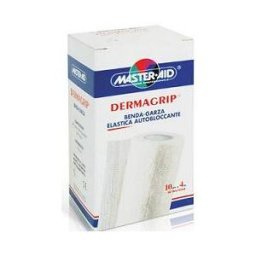 PIETRASANTA PHARMA SpA BENDA MASTER AID DERMACM12X20M