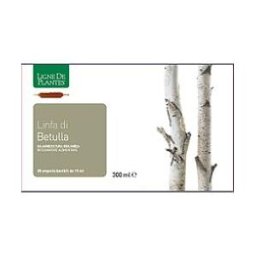 NATURA SERVICE Srl BETULLA LINFA BIO 20AB 15ML