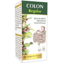 DR.GIORGINI SER-VIS Srl COLON REGULAR LIQ ANALCO 200ML