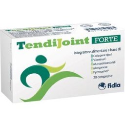 FIDIA FARMACEUTICI SpA TENDIJOINT FORTE 20CPR