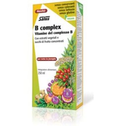 SALUS HAUS Gmbh & B COMPLEX SALUS 250ML