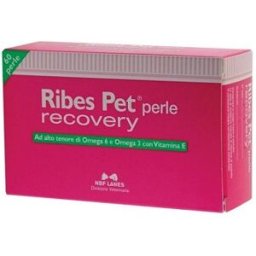 N.B.F. LANES Srl RIBES PET RECOVERY 60PRL