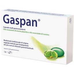DR.WILLMAR SCHWABE Gaspan 14 Capsule Molli Gastroresistenti