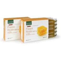 NATURA SERVICE Srl PAPPA REALE BIO 1000MG 10FLL 1
