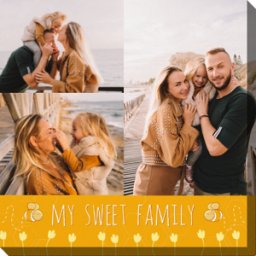 Colorland My sweet family