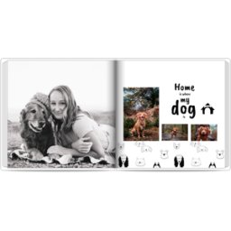 Colorland Mondo canino