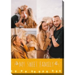 Colorland My sweet family