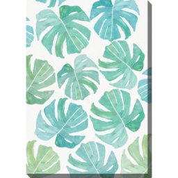 Colorland Monstera - acquerello