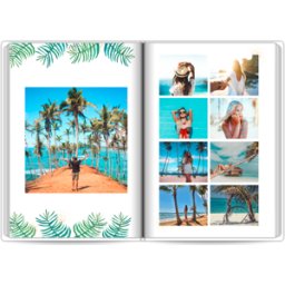 Colorland Botanic Travel