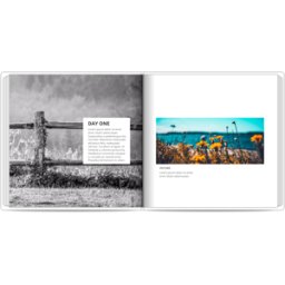 Colorland Photo Story