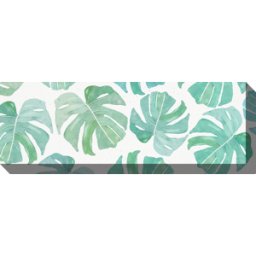 Colorland Monstera - acquerello
