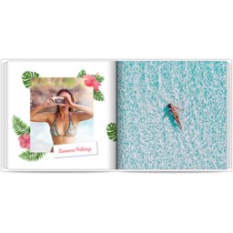 Colorland Tropici