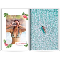 Colorland Tropici