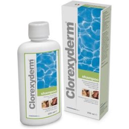 ICF CLOREXYDERM Shampoo 250ml