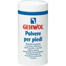 DUAL SANITALY GEHWOL POLVERE PER PIEDI 100 G