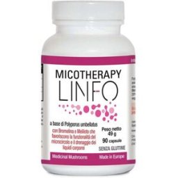 A.V.D. REFORM SRL MICOTHERAPY LINFO 90 CAPSULE