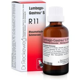 IMO RECKEWEG R11 GOCCE 22 ML