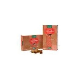 NATURA SERVICE SCHISANDRA 20AB 15ML