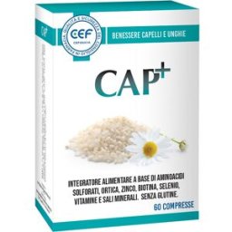 Q FARMA SPA CEF CAP+ 60 COMPRESSE