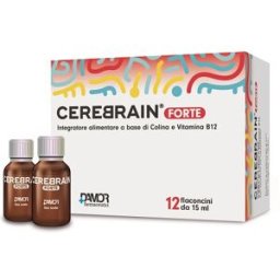 FARMACEUTICI DAMOR SPA Cerebrain Forte - Integratore alimentare a base di Colina e Vitamina B12