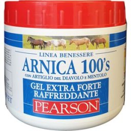 GUGLIELMO PEARSON SRL V ARNICA 100'S GEL EXT.FORTE RAF