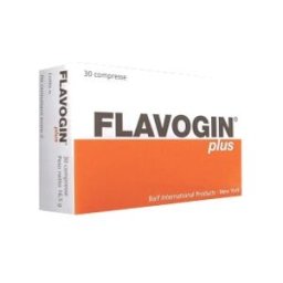 FLAVOGIN Plus 30 Conf.