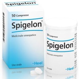 SPIGELON 50 Cpr HEEL