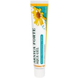 DR THEISS ARNICA FORTE AQUA GE