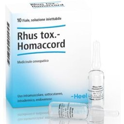 RHUS TOX.HOMAC 10f.1,1ml HEEL