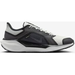 NIKE SCARPA PEGASUS 41 GORE-TEX