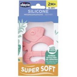 CH MASSAGGIA DENTAR GIRL 2M+