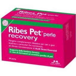 RIBES PET RECOVERY 60PRL