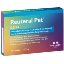 REUTERAL PET CANE 30CPS