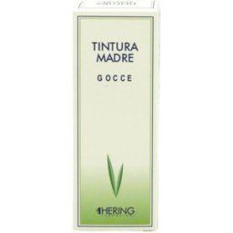 HYPERICUM PERFOR 60ML TM