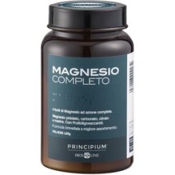 PRINCIPIUM MAGNESIO COMP 400G