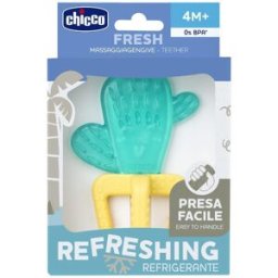 CH MASSAGGIA FRESH CACTUS 4M+