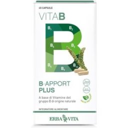 ERBA VITA B-APPORT Plus 45 Cps EBV