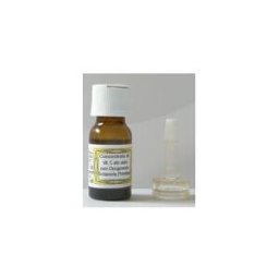 OMEOSIDEA Srl SIDEA C INTEGRALE Vit.C 10ml