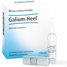 GALIUM 10F 1,1ML HEEL