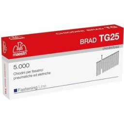 Maestri 5000 CHIODI 25x2 mm CON TESTA A AX TG25