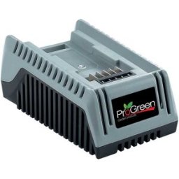 Progreen CARICABATTERIA AL LITIO 40 V PGC 4002 CON INDICATORE DI CARICA PESO 0,65 kg