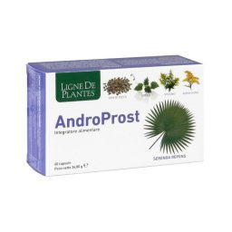 Androprost 60 Capsule