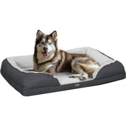 Pawhut Lettino per Cani Taglia Grande Imbottito con Cuscino Rimovibile Lavabile, 120x80x22cm, Grigio Carbone